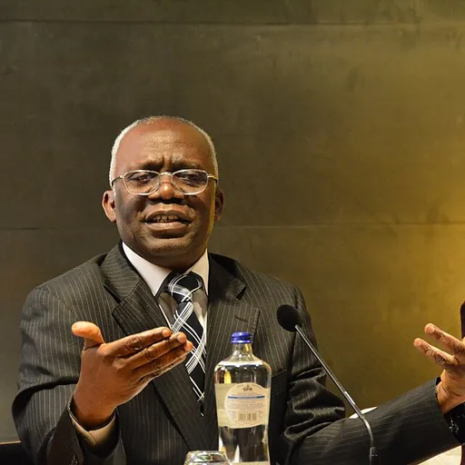 Portrait of Femi Falana