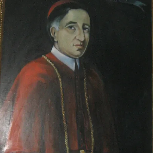 Portrait of Vicko Zmajević