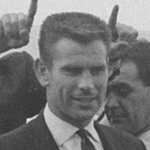 Portrait of Peter Swan