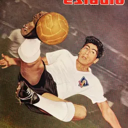 Portrait of Caupolicán Peña