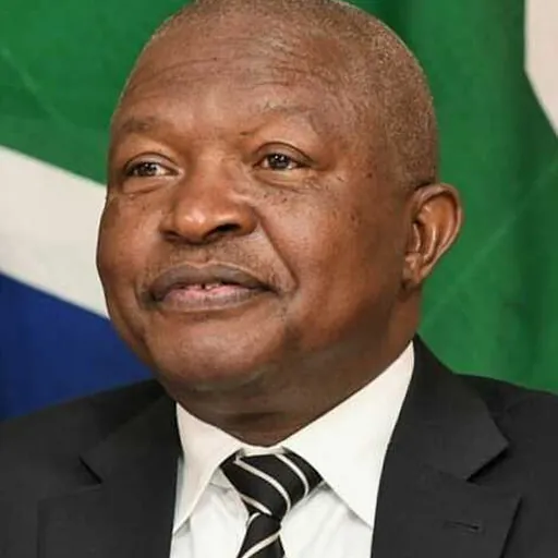 Portrait of David Mabuza