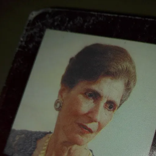 Portrait of Juana Dib
