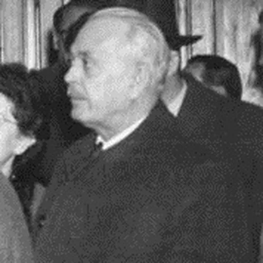 Portrait of Sándor Rónai