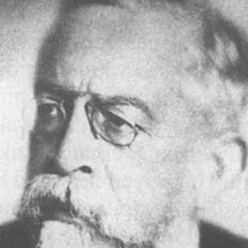 Portrait of Yusuf Akçura