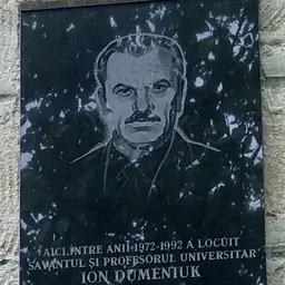 Portrait of Ion Dumeniuc