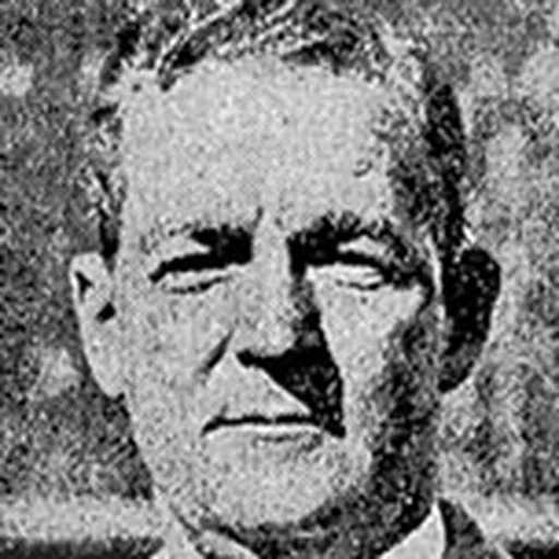 Portrait of Bill Patrick