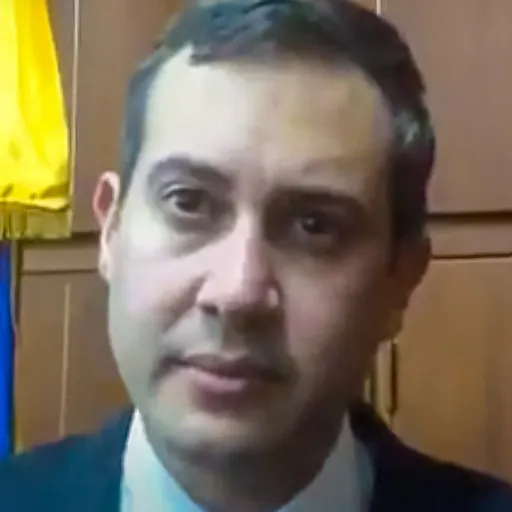 Portrait of Mario Fernández Alcocer