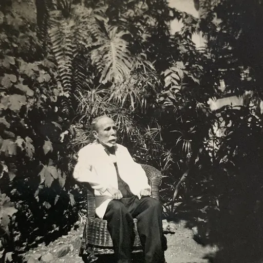 Portrait of Adolfo César de Noronha