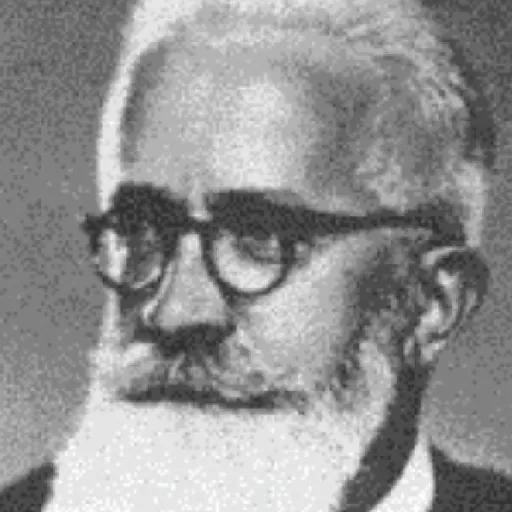 Portrait of Dominik Trčka