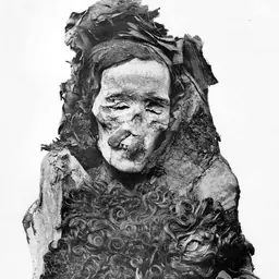 Portrait of Ahmose-Henutemipet