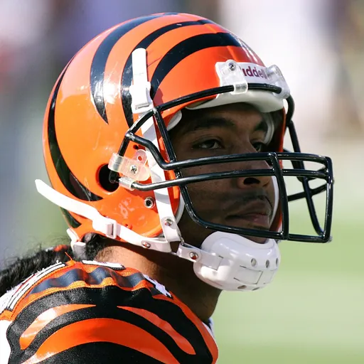 Portrait of T. J. Houshmandzadeh