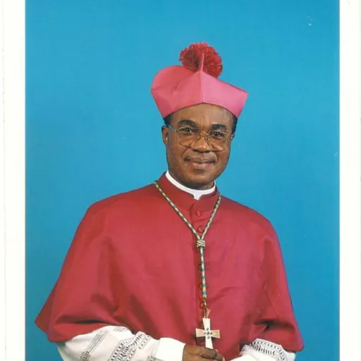 Portrait of Valerian Maduka Okeke