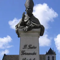 Portrait of Pero Fernandes Sardinha