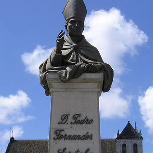 Portrait of Pero Fernandes Sardinha