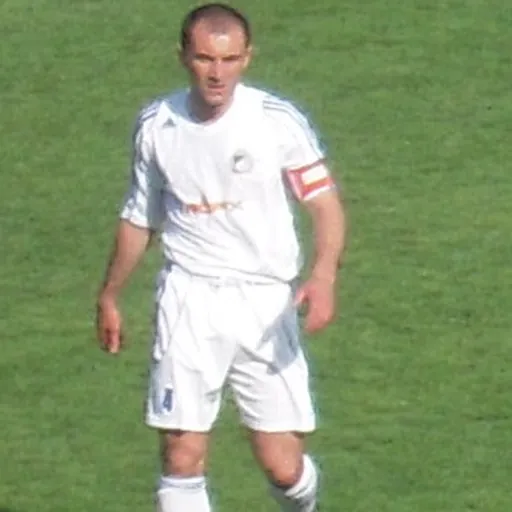 Portrait of Bojan Regoje