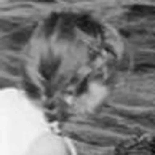 Portrait of Karla Frister