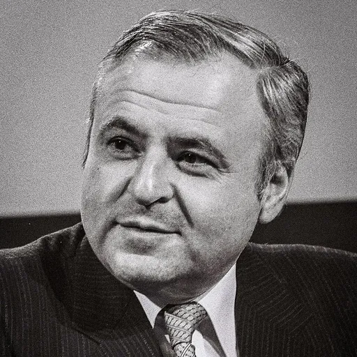 Portrait of Meir Rosenne