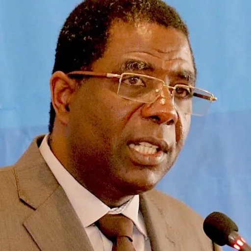 Portrait of Enex Jean-Charles