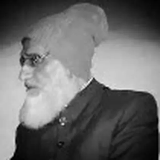 Portrait of Shamim Hashimi