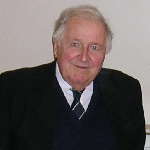 Portrait of Dejan Medaković