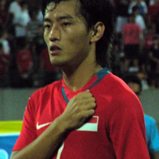 Portrait of Shi Jiayi