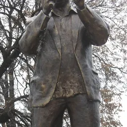 Portrait of Šaban Bajramović
