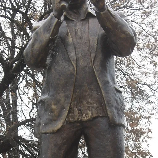 Portrait of Šaban Bajramović