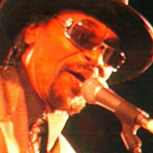 Portrait of Chuck Brown