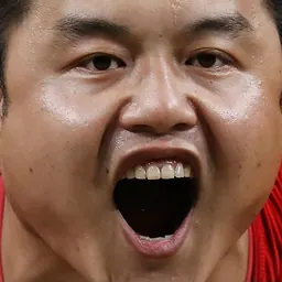 Portrait of Yang Zhe