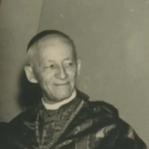 Portrait of Carlos Carmelo Vasconcellos Motta