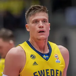 Portrait of Jonas Jerebko