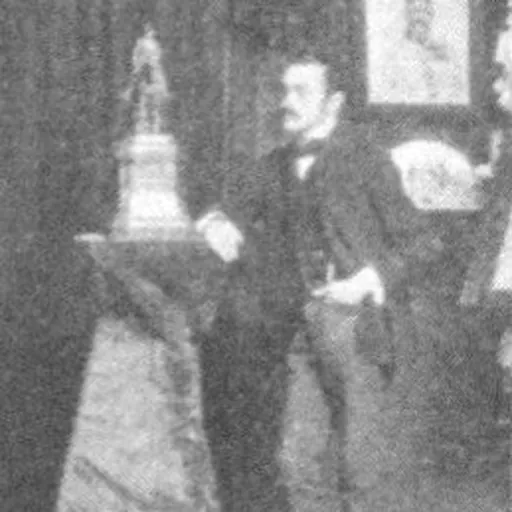 Portrait of Ludwig Koch