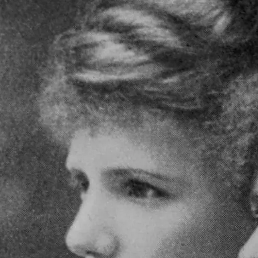 Portrait of Eva Gore-Booth