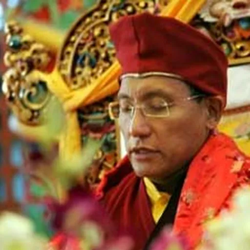 Portrait of The 12th Gyalwang Drukpa Jigme Pema Wangchen