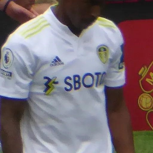 Portrait of Junior Firpo
