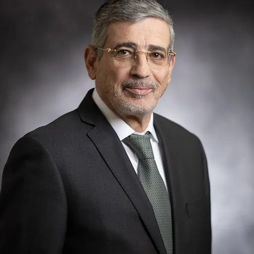 Portrait of Yehuda Avidan
