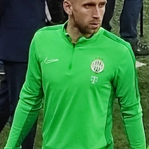 Portrait of Eldar Ćivić