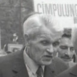 Portrait of Corneliu Coposu