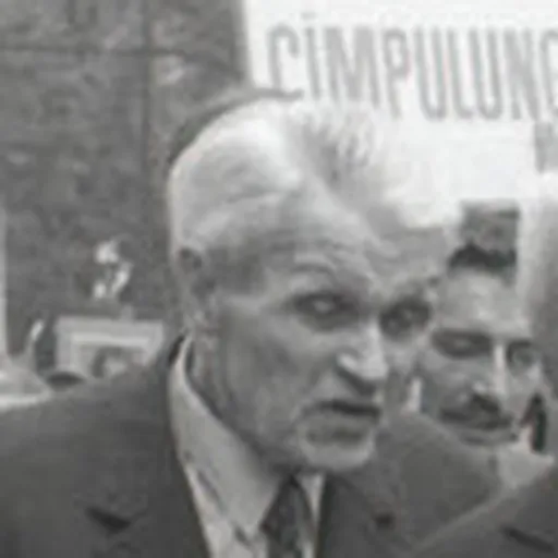 Portrait of Corneliu Coposu