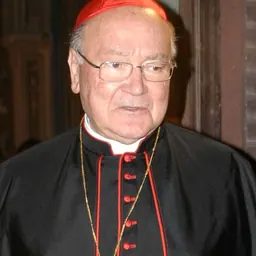 Portrait of Renato Martino