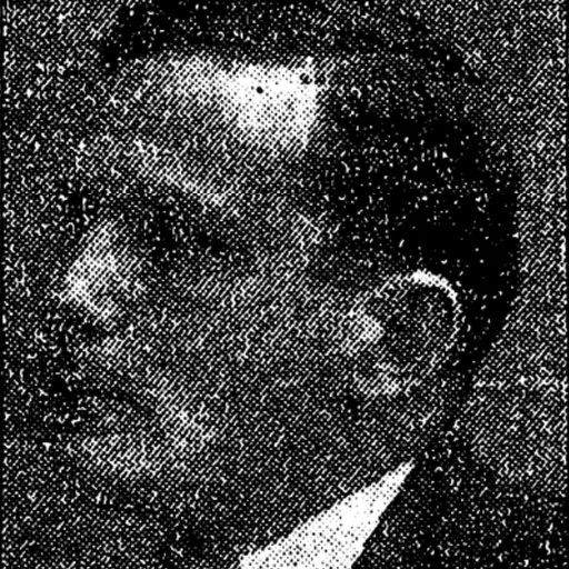 Portrait of Michael Dracos Dimitry