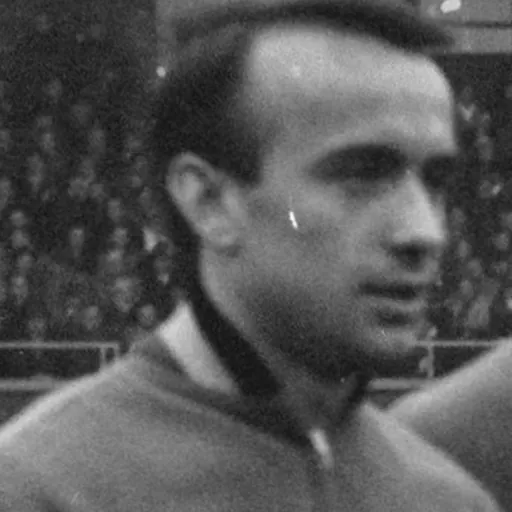 Portrait of Martin Lippens