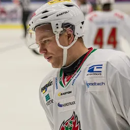 Portrait of Per-Åge Skrøder