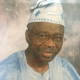 Portrait of Biyi Afonja