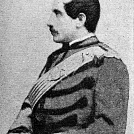 Portrait of Giuseppe Missori
