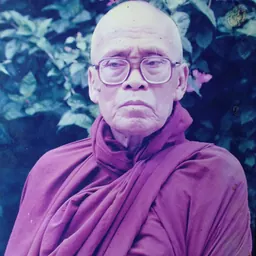Portrait of Rajguru Aggavamsa Mahathera