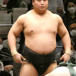 Portrait of Wakamotoharu Minato