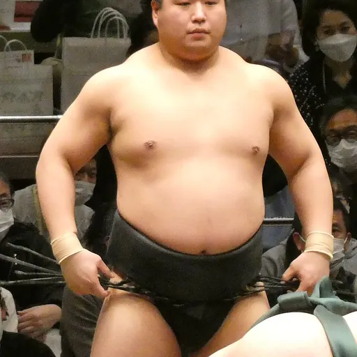 Portrait of Wakamotoharu Minato