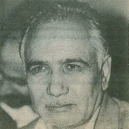 Portrait of Fakhreddin Hejazi