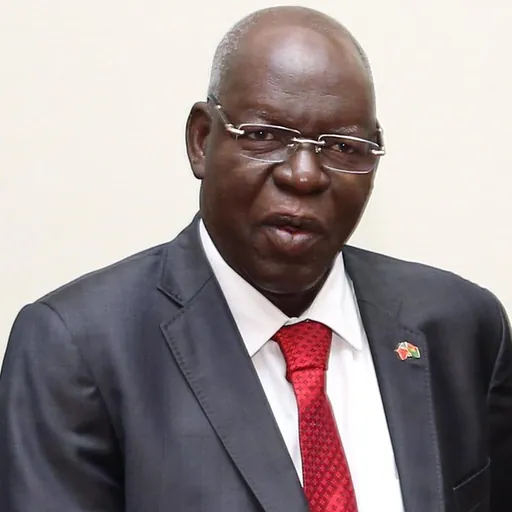 Portrait of Salif Diallo